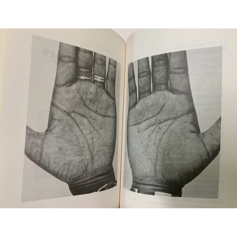 เผยความลับลายมือคนดัง รูปที่ 8