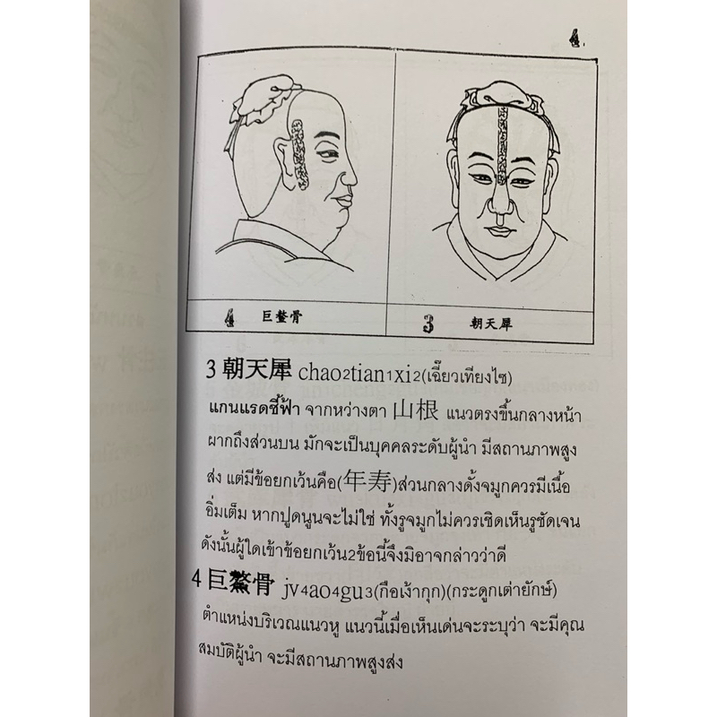 โหงวเฮ้งจีน โครงใบหน้า อ.สรศักดิ์ รูปที่ 5