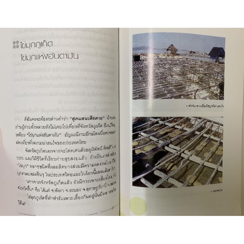 หนังสือ ไข่มุก ราชินีแห่งท้องทะเล รูปที่ 5