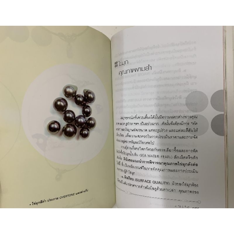 หนังสือ ไข่มุก ราชินีแห่งท้องทะเล รูปที่ 6