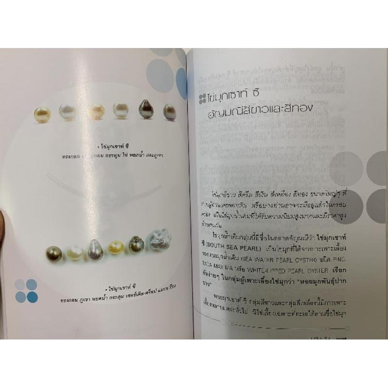 หนังสือ ไข่มุก ราชินีแห่งท้องทะเล รูปที่ 7
