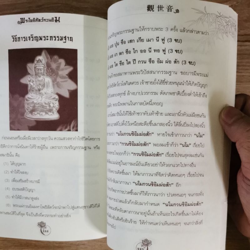 พระโพธิสัตว์กวนอิม ตำนานบริสุทธิ์ รูปที่ 6