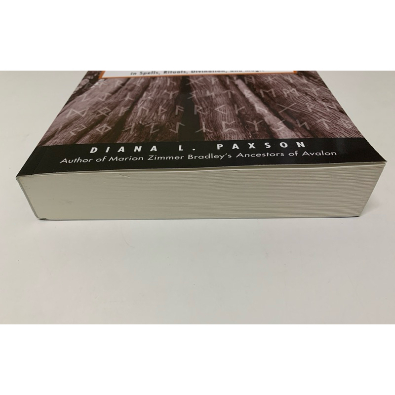 TAKING UP THE RUNES BY DIANA L. PAXSON รูปที่ 2