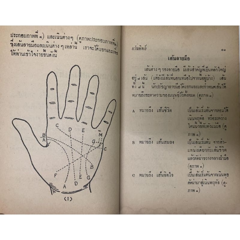 ดูลายมือโชคชะตาชีวิต63ผู้นำของโลก รูปที่ 6