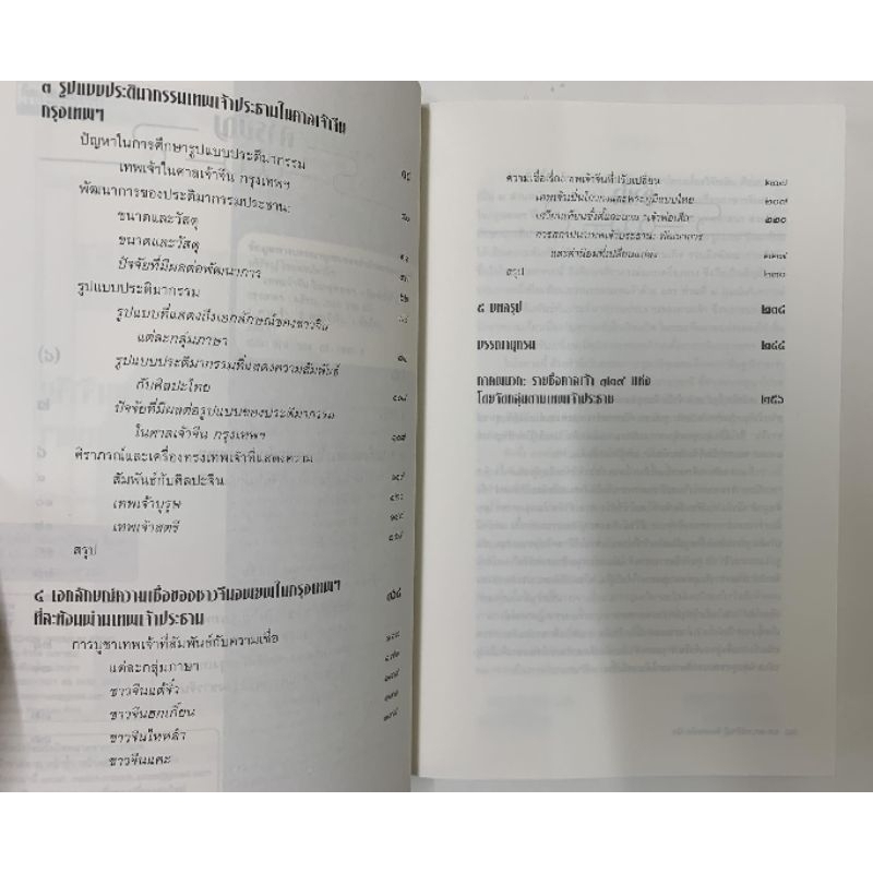 เทพเจ้าจีนในกรุงเทพฯ-อชิรัชญ์ ไชยพจน์พานิช รูปที่ 5