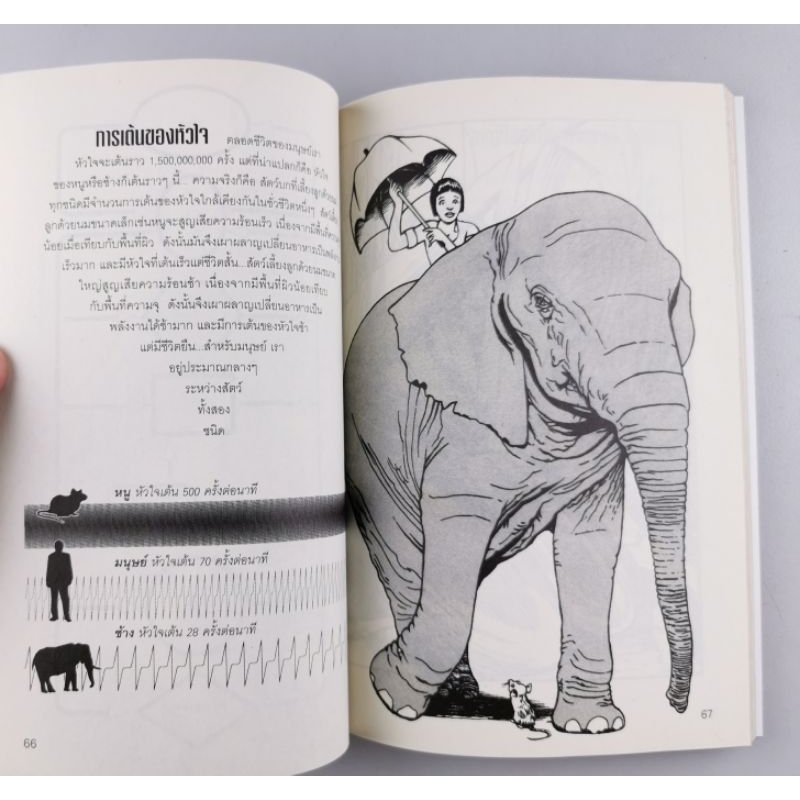 บิ๊กนัมเบอร์ - Big Numbers รูปที่ 3