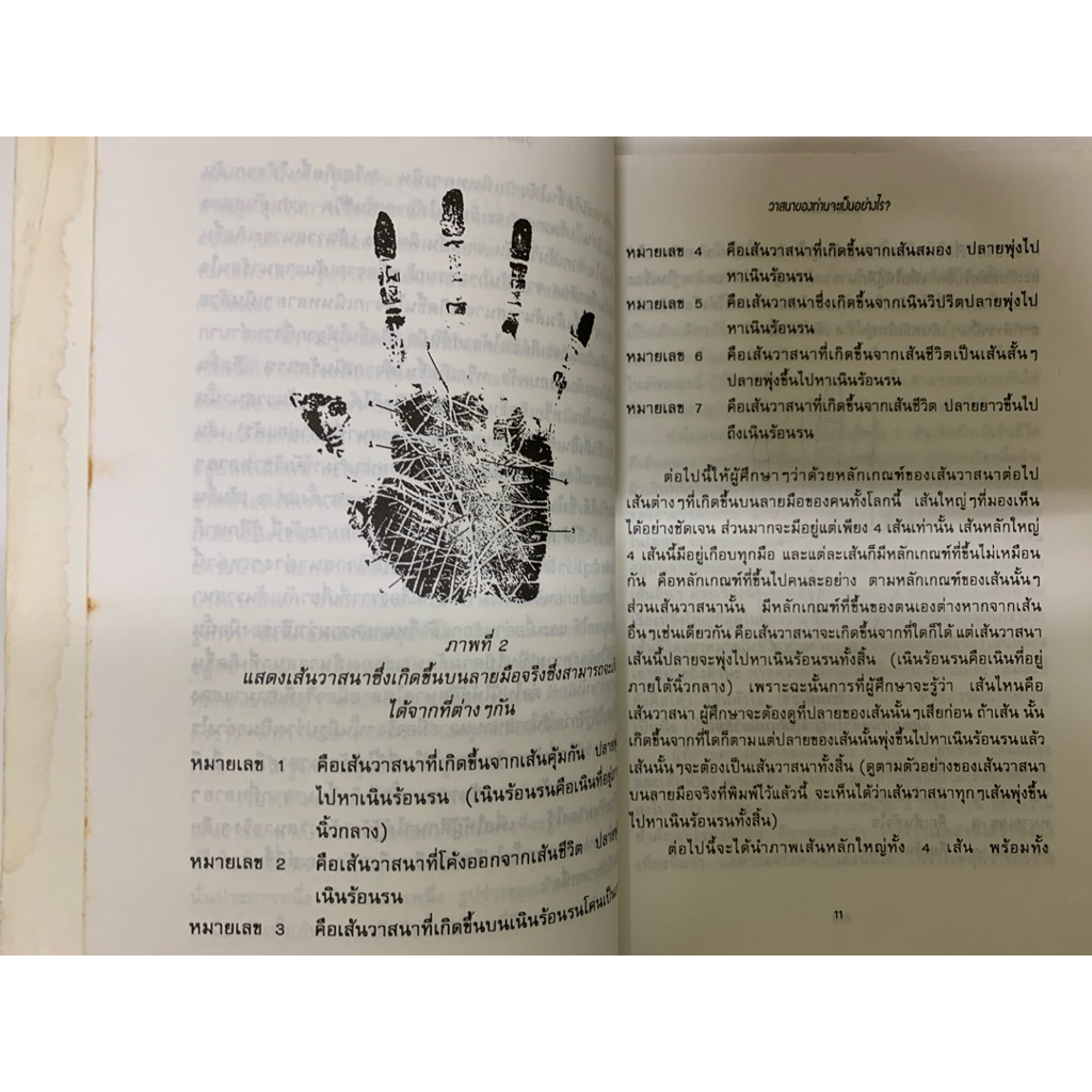 ปริศนาลายมือ วาสนาของท่านจะเป็นอย่างไร โดย นรชาติ รูปที่ 4