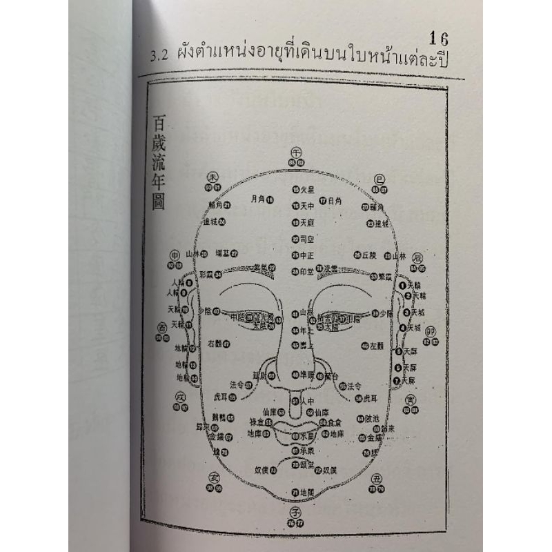 โหงวเฮ้ง ฉบับเจาะเคล็ดลับใบหน้า อ.สรศักดิ์ รูปที่ 3