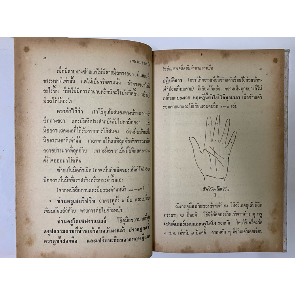 ไขปัญหาเคล็ดลับทำนายลายมือ จ.บุนนาค รูปที่ 6