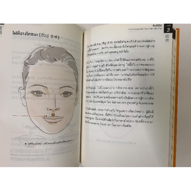 คัมภีร์ไฝ - Joey Yap รูปที่ 4