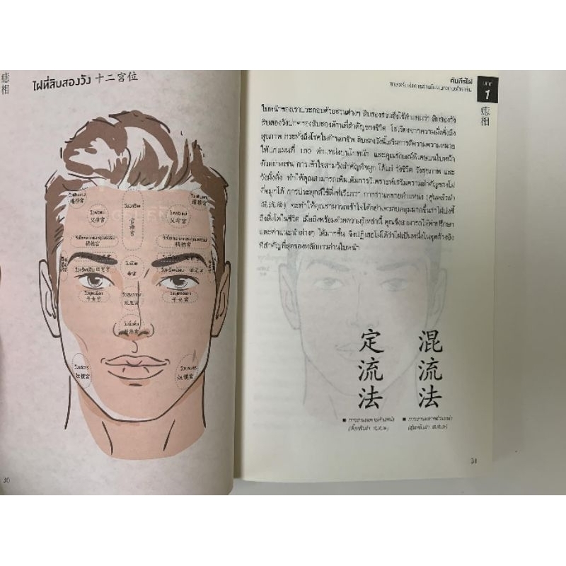 คัมภีร์ไฝ - Joey Yap รูปที่ 5