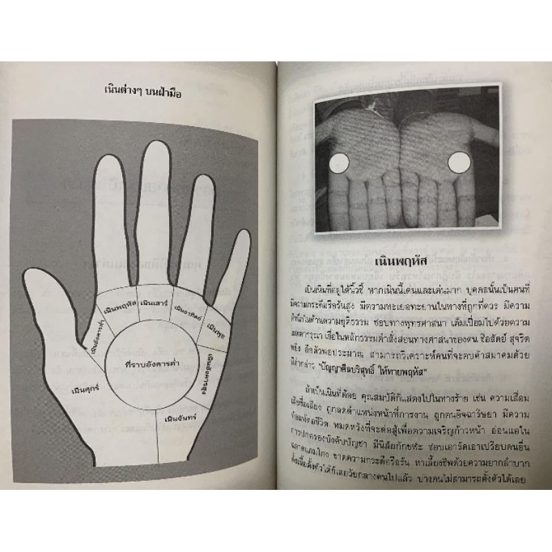 ลายมือบอกชีวิต ลิขิตอนาคต-สุทิน หัตถศาสตร์ รูปที่ 5