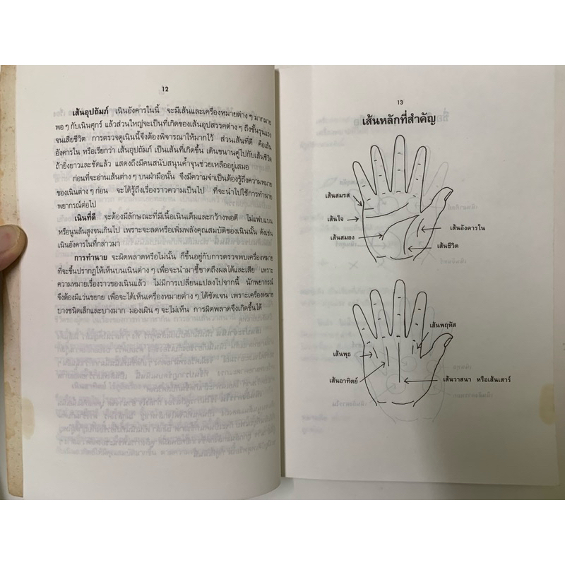 เปิดเผยความลับเส้นลายมือของคนดัง โดยเบญจะ ชินปัญชนะ รูปที่ 4