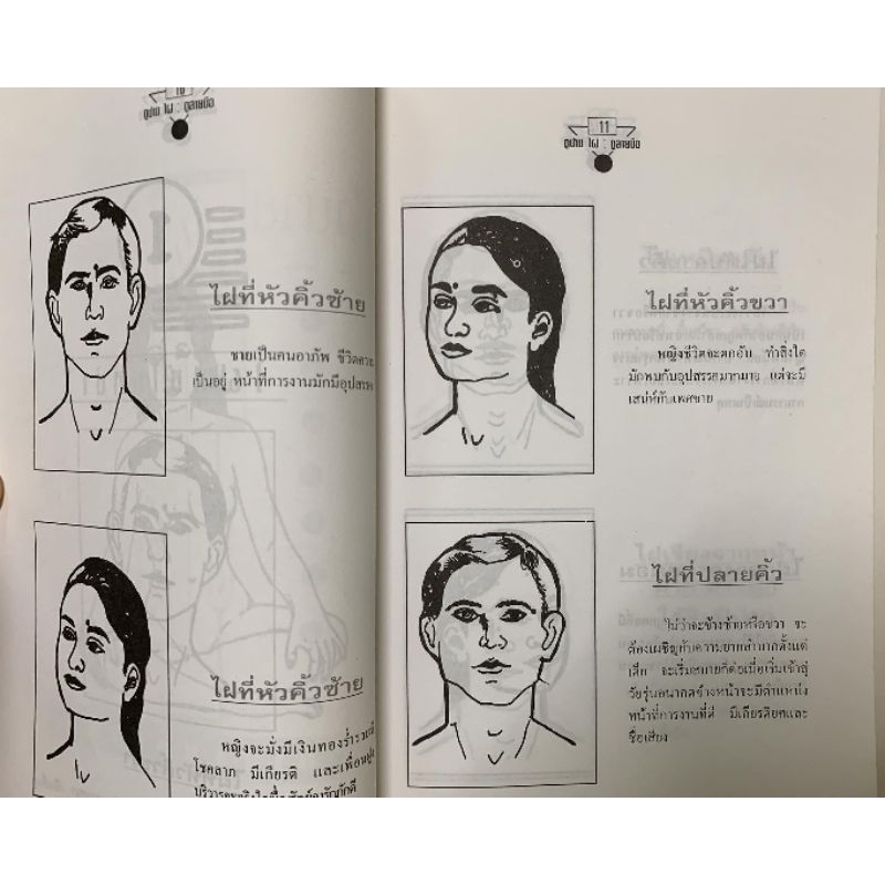 ทำนายลายมือทำนายปาน-ไฝ โดยวิษณุรักษ์ รูปที่ 2