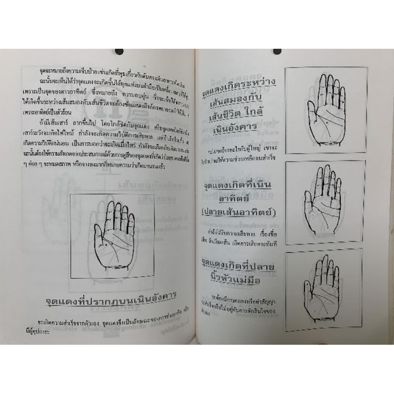 ทำนายลายมือทำนายปาน-ไฝ โดยวิษณุรักษ์ รูปที่ 3