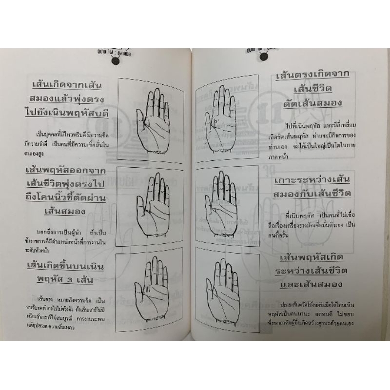 ทำนายลายมือทำนายปาน-ไฝ โดยวิษณุรักษ์ รูปที่ 5
