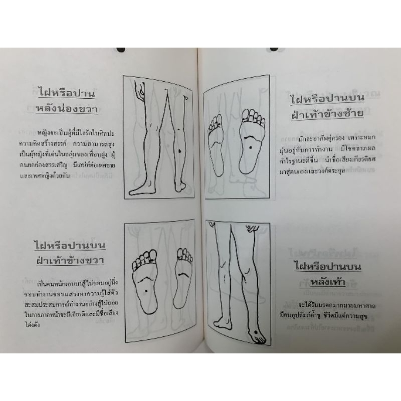 ทำนายลายมือทำนายปาน-ไฝ โดยวิษณุรักษ์ รูปที่ 6