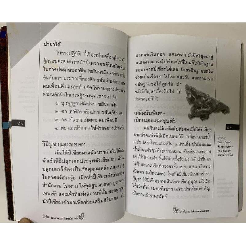 ปี่เซียะ สัตว์เทพสวรรค์บันดาลโชค รูปที่ 5