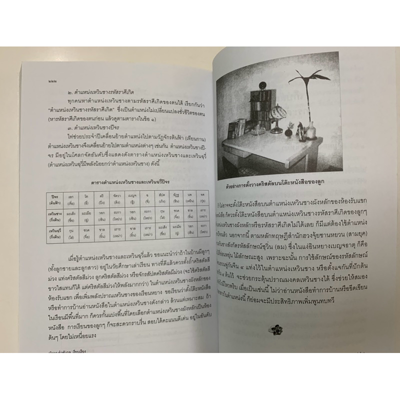 ฮวงจุ้ยมงคลฉบับคริสตัลนำโชคโดยเฉินกั่วเฉิง รูปที่ 8