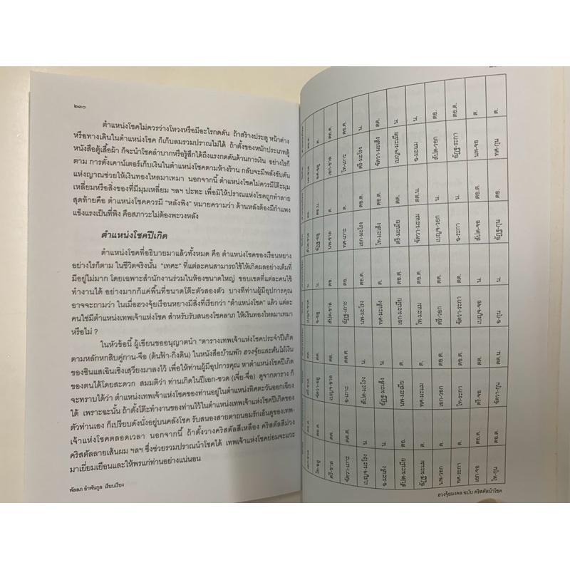 ฮวงจุ้ยมงคลฉบับคริสตัลนำโชคโดยเฉินกั่วเฉิง รูปที่ 9