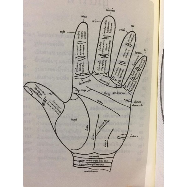คู่มือการอ่านลายมือ โดยพัชรา เอี่ยมเจริญ รูปที่ 3