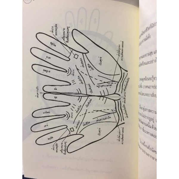 คู่มือการอ่านลายมือ โดยพัชรา เอี่ยมเจริญ รูปที่ 5