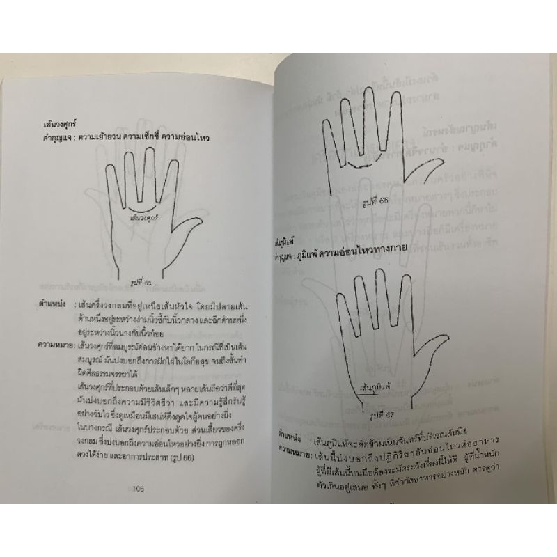 ชีวิตรู้ได้ด้วยลายมือ โดยศิขริน ปีตะวัน รูปที่ 4