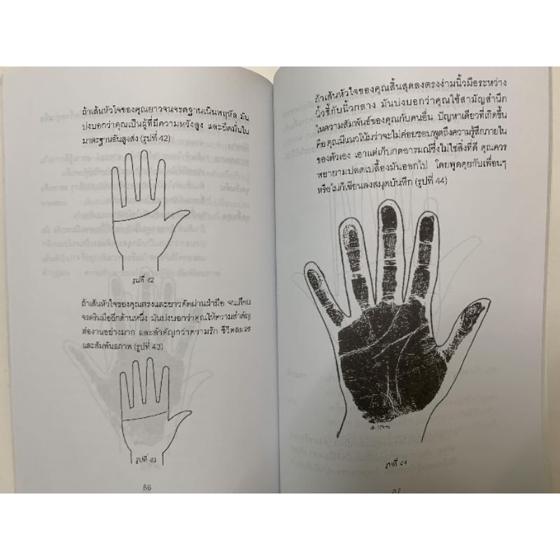 ชีวิตรู้ได้ด้วยลายมือ โดยศิขริน ปีตะวัน รูปที่ 6