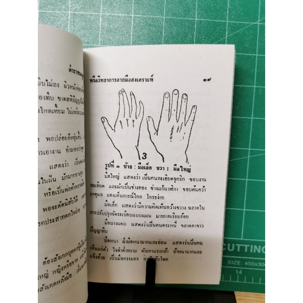 ดูลายมือแบบกูรู&ลายมือพยายากรณ์ *ขายคู่ รูปที่ 4