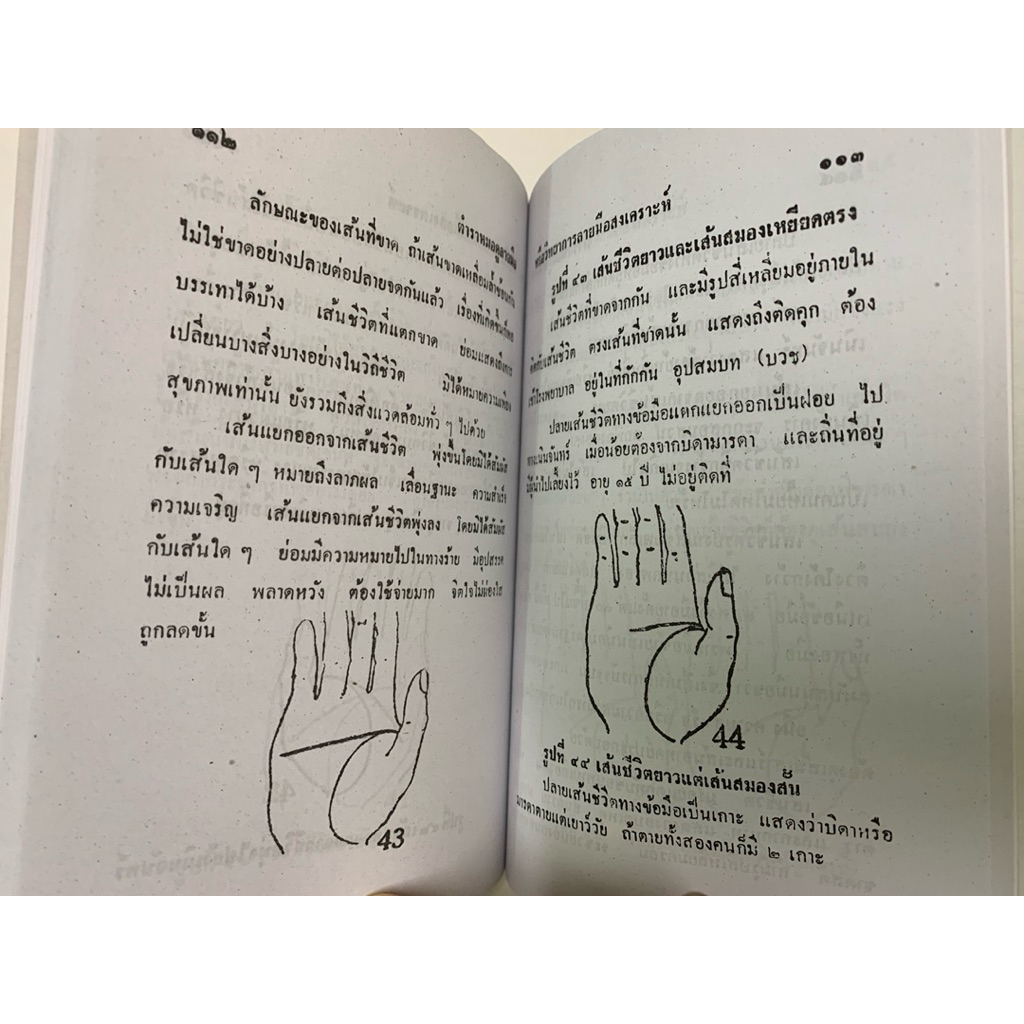 ลายมือพยากรณ์ *ดูลายมือ รูปที่ 8