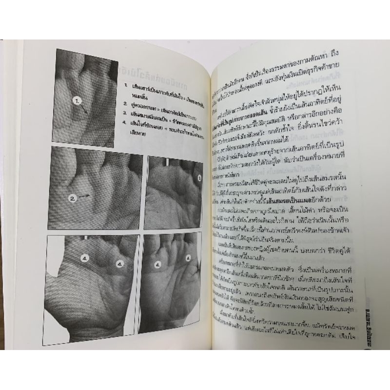 เส้นสายลายมือสื่อความรัก โดยเบญจะ ชินปัญชนะ *หัตถศาสตร์ รูปที่ 3