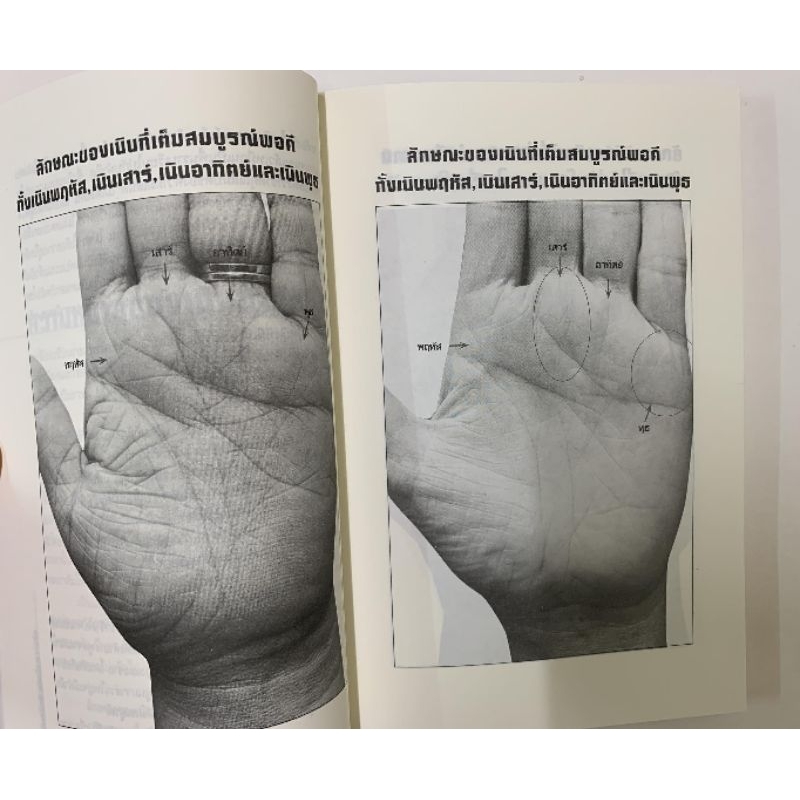 เส้นสายลายมือสื่อความรัก โดยเบญจะ ชินปัญชนะ *หัตถศาสตร์ รูปที่ 4