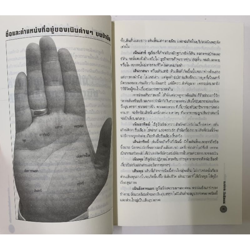 เส้นสายลายมือสื่อความรัก โดยเบญจะ ชินปัญชนะ *หัตถศาสตร์ รูปที่ 7