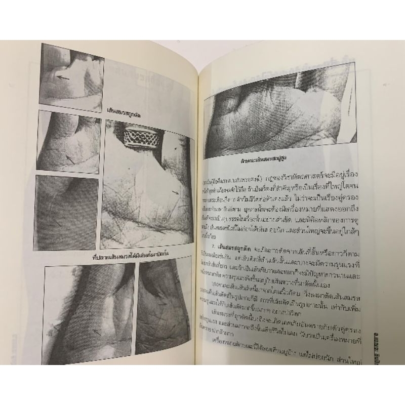 เส้นสายลายมือสื่อความรัก โดยเบญจะ ชินปัญชนะ *หัตถศาสตร์ รูปที่ 8