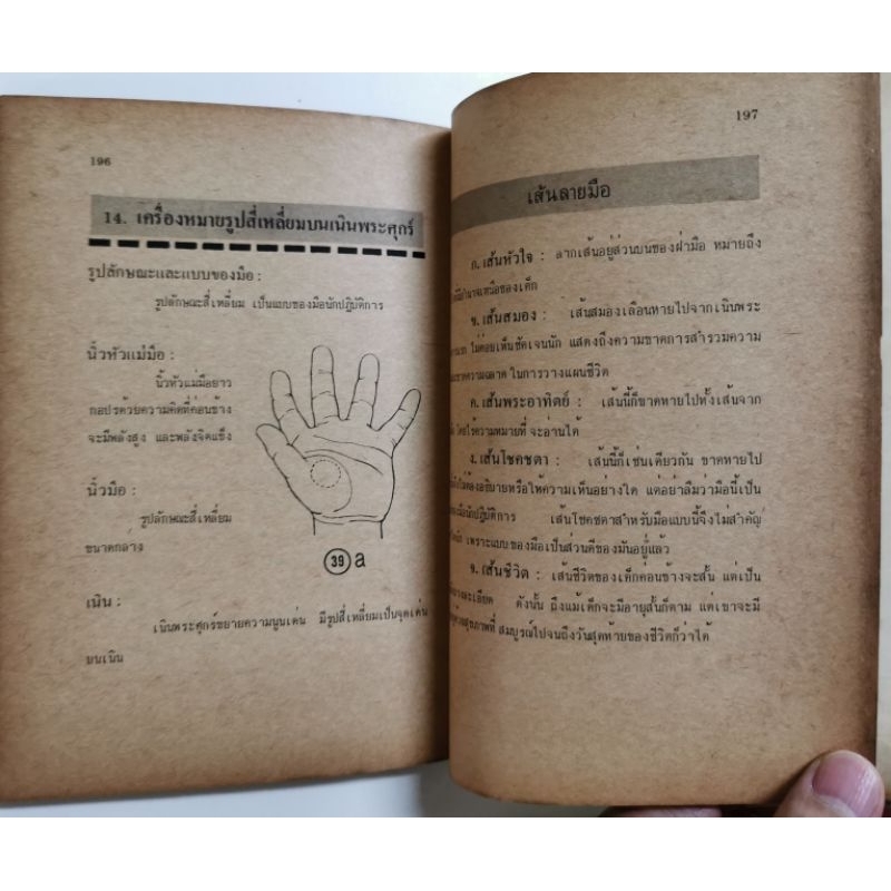 ลายมือลูกรัก โดย Shiraz *หัตถศาสตร์หายาก หนังสือแปล รูปที่ 3
