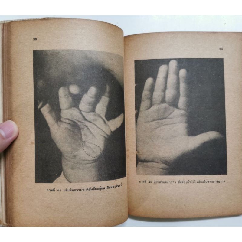 ลายมือลูกรัก โดย Shiraz *หัตถศาสตร์หายาก หนังสือแปล รูปที่ 8