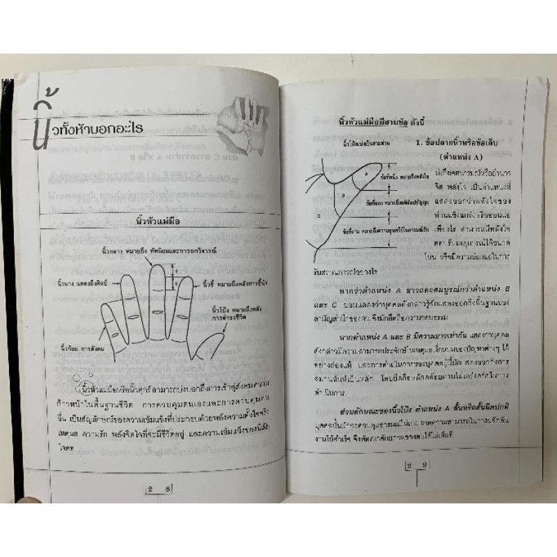 เส้นทางมหัศจรรย์จากลายมือ -มณเฑียร ทองคำ รูปที่ 2