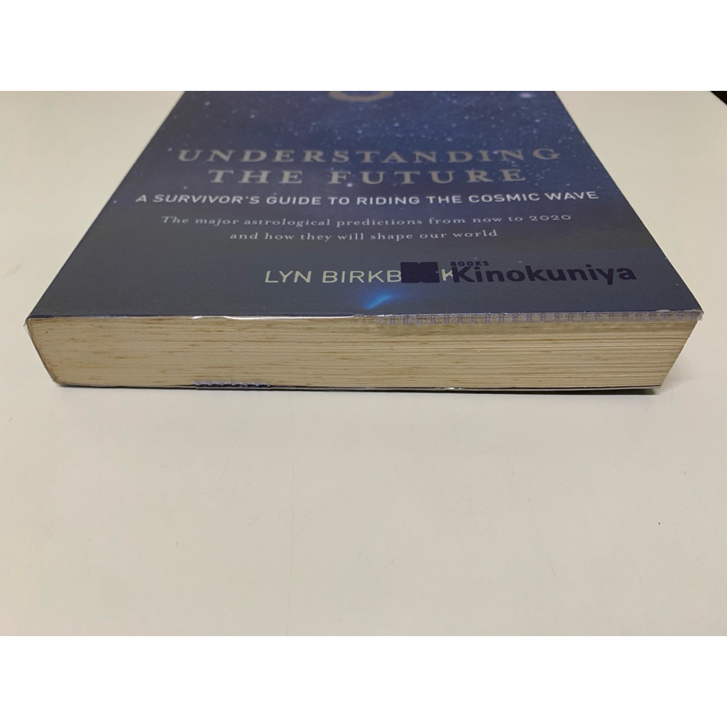 UNDERSTANDING THE FUTURE LYN BIRKBECK รูปที่ 2