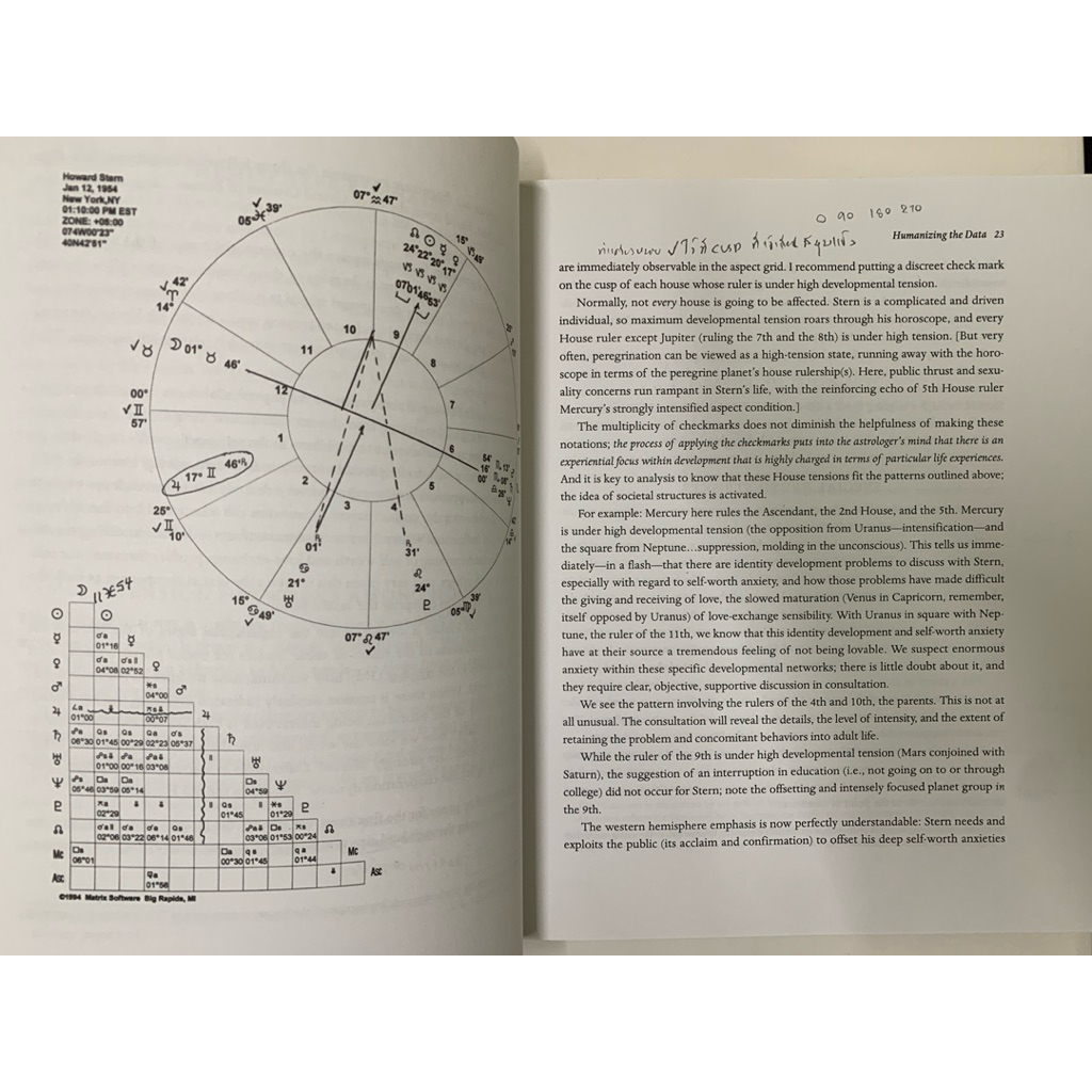 NOEL TLY'S GUIDE TO ASTROLOGICAL CONSULTATION BY NOEL TYL รูปที่ 9