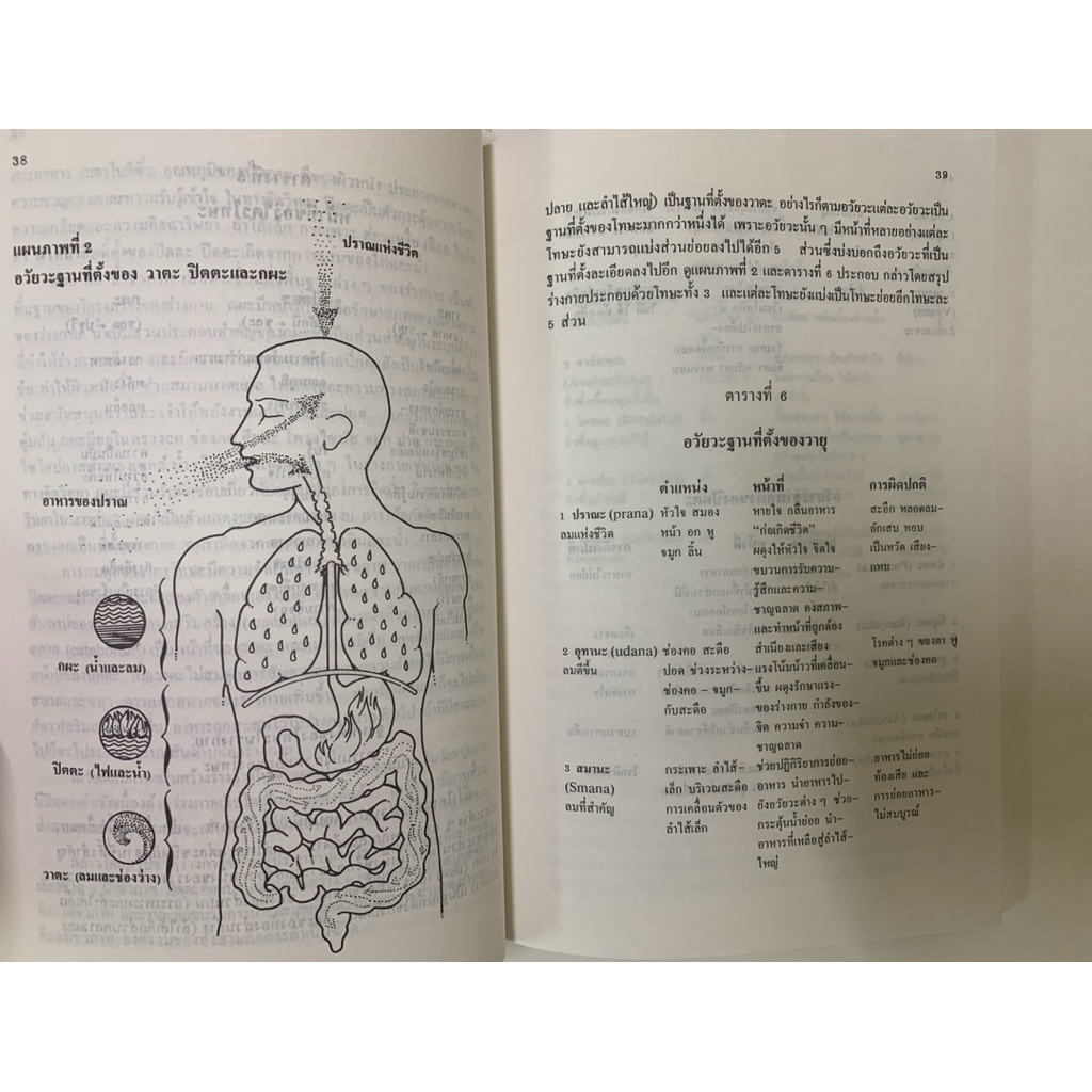 อายุรเวท ศาสตร์แห่งชีวิต นายแพทย์ เฉลียว ปิยะชน รูปที่ 4